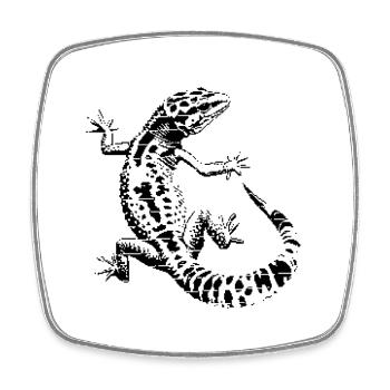 Gecko léopard - Magnet carré - blanc - Devant