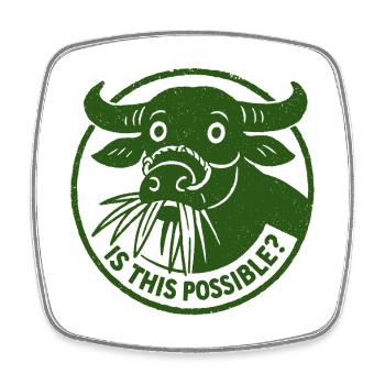 Est-ce que c’est possible curiosité drôle Buffalo Cow Stamp - Magnet carré - blanc - Devant