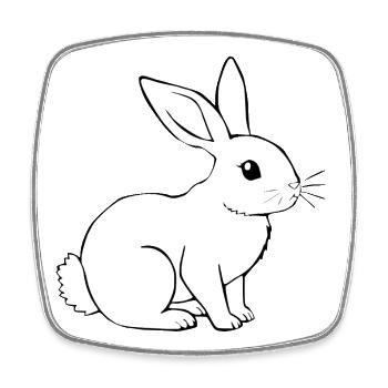 Rabbit Bunny Bunny Dwarf Rabbit Gift - Square fridge magnet - white - Front