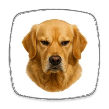 Golden Retriever Kopfporträt - Viereckiger Kühlschrankmagnet - Weiß - Vorne