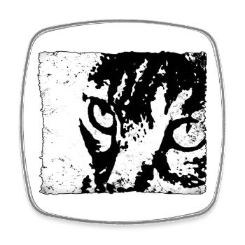 Portrait d’animal contrasté chat - Magnet carré - blanc - Devant