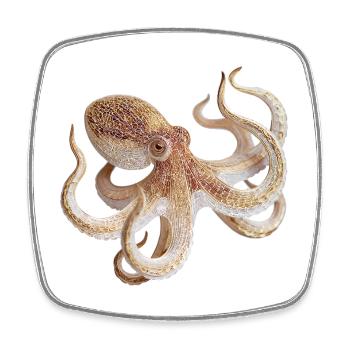 Oktopus Netzmuster – Maritimer Stil - Viereckiger Kühlschrankmagnet - Weiß - Vorne