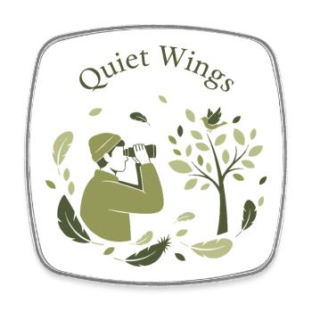 Quiet Wings - Square fridge magnet - white - Front