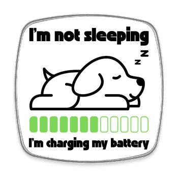 Sleeping dog recharges its battery - Square fridge magnet - white - Front