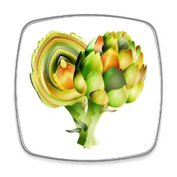 Delicate artichoke illustration in warm green tones - Square fridge magnet - white - Front