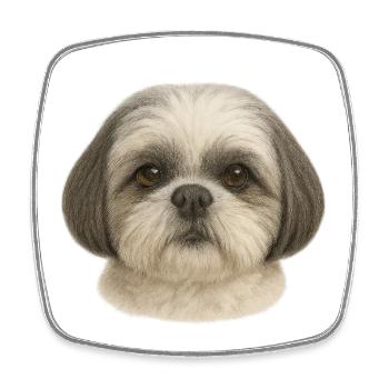 Sanftes Shih Tzu Portrait - Viereckiger Kühlschrankmagnet - Weiß - Vorne
