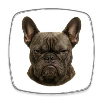 Serious Franz Bulldog Head - Square fridge magnet - white - Front