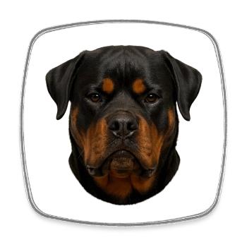 Portrait du visage du rottweiler - Magnet carré - blanc - Devant