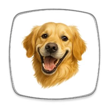 Tête de Golden Retriever joyeuse - Magnet carré - blanc - Devant