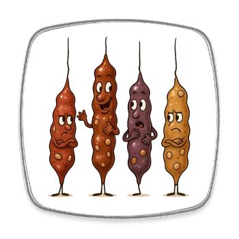 Cousins Churchkhela vs. Ceviz Sucuğu - Viereckiger Kühlschrankmagnet - Weiß - Vorne
