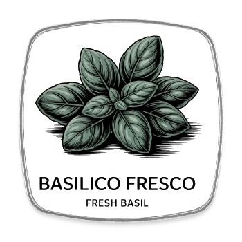 Basilico Fresco – Basilikum - Viereckiger Kühlschrankmagnet - Weiß - Vorne