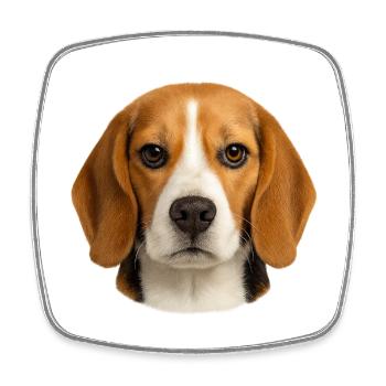 Motif du portrait de Rapetou - Magnet carré - blanc - Devant
