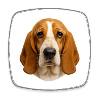 Beagle Porträt: Warmes Felldesign - Viereckiger Kühlschrankmagnet - Weiß - Vorne