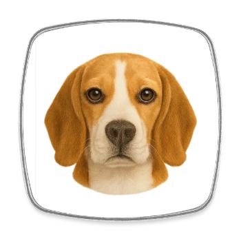 Beagle Kopfporträt Tierliebe - Viereckiger Kühlschrankmagnet - Weiß - Vorne