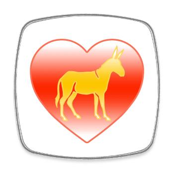donkey - Square fridge magnet - white - Front