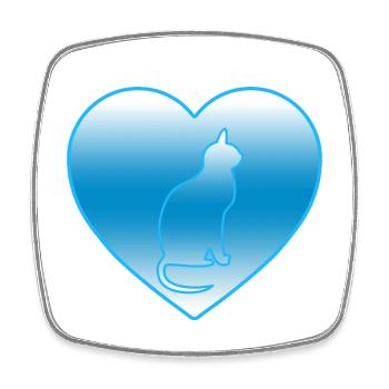 Cat - Square fridge magnet - white - Front