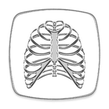 Chrome Ribcage / Skeleton Ribs - Square fridge magnet - white - Front