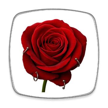 Red Rose with Piercings - Square fridge magnet - white - Front