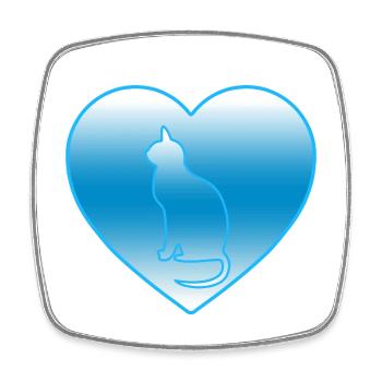 Cat - Square fridge magnet - white - Front