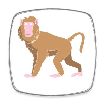 Baboon Pavian Primat Affe Affen - Viereckiger Kühlschrankmagnet - Weiß - Vorne