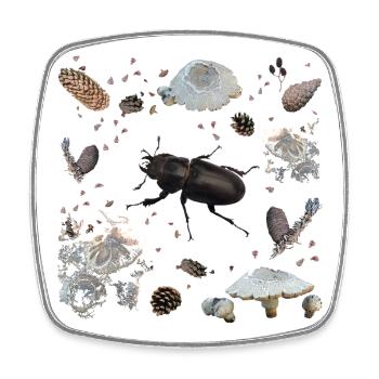 Hirschkäfer mit Tannenzapfen und Pilzen - Viereckiger Kühlschrankmagnet - Weiß - Vorne