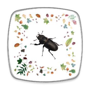 Hirschkäfer mit Herbstlaub - Viereckiger Kühlschrankmagnet - Weiß - Vorne