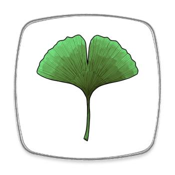 Ginkgo Fan Leaf Aura - Square fridge magnet - white - Front