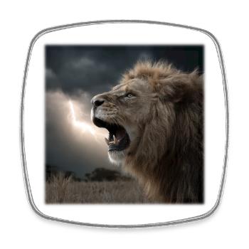 Dramatic Roaring King - Lion in the Storm - Square fridge magnet - white - Front