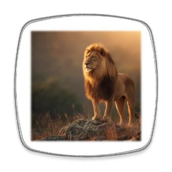 Löwenkönig – Majestätisch im Abendlicht - Square fridge magnet - white - Front