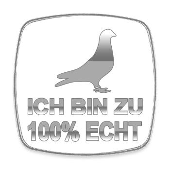 Tauben - Viereckiger Kühlschrankmagnet - Weiß - Vorne