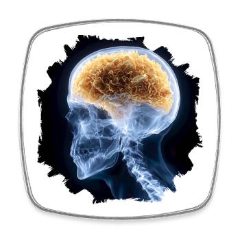 The other day at the X-ray - everything is fine - Square fridge magnet - white - Front