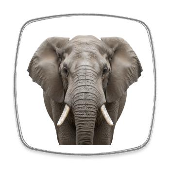 Elephant Portrait Majestic Wildlife Design - Square fridge magnet - white - Front