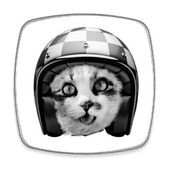 Casque de course de chat motard - Humour drôle d’animaux de compagnie - Magnet carré - blanc - Devant
