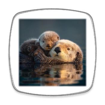 Otter-Liebe Mutter und Baby auf dem Wasser - Viereckiger Kühlschrankmagnet - Weiß - Vorne