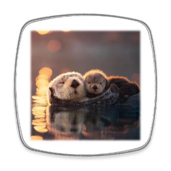 Seeotter und Babyotter auf dem Wasser - Viereckiger Kühlschrankmagnet - Weiß - Vorne