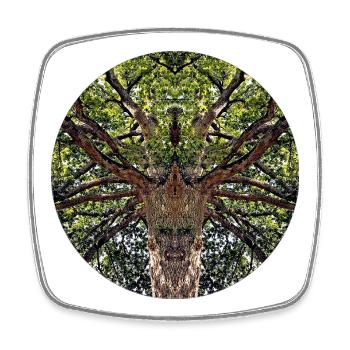 Créatures de la nature dans la cime des arbres - Magnet carré - blanc - Devant