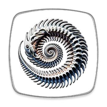 Métamorphose du poisson osseux en spirale fossile fantastique - Magnet carré - blanc - Devant