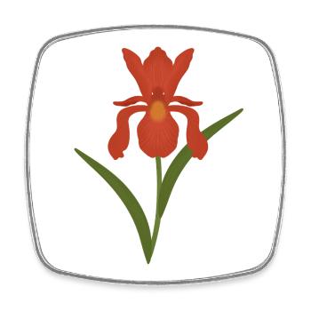 Iris Botanical Illustration - Square fridge magnet - white - Front