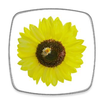 Sonnenblume mit Biene, Fotografie, Frühling Sommer - Viereckiger Kühlschrankmagnet - Weiß - Vorne