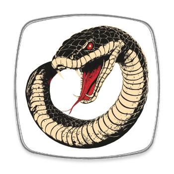Snake - Square fridge magnet - white - Front