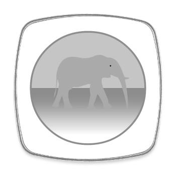 Elefant - Viereckiger Kühlschrankmagnet - Weiß - Vorne