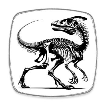 Dinosaure Raptor avec des os de colonne vertébrale - Magnet carré - blanc - Devant