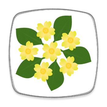 Februar Geburtstag Blüte Primeln Geburtstagsblume - Viereckiger Kühlschrankmagnet - Weiß - Vorne
