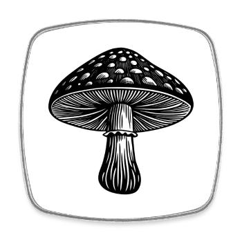 Pilz - Viereckiger Kühlschrankmagnet - Weiß - Vorne