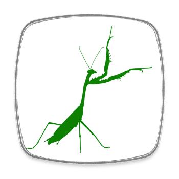 Vert mante religieuse - Magnet carré - blanc - Devant