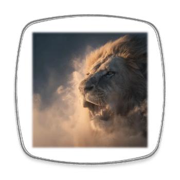 Lion from the Clouds – Royal Strength - Square fridge magnet - white - Front
