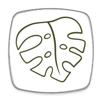 Monstera Line Kunst Blatt - Viereckiger Kühlschrankmagnet - Weiß - Vorne