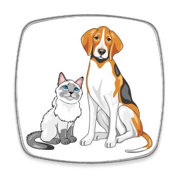 Siamese_cat_and_Foxhound_are_best_friends - Viereckiger Kühlschrankmagnet - Weiß - Vorne