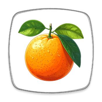 Orange (Frucht) - Viereckiger Kühlschrankmagnet - Weiß - Vorne