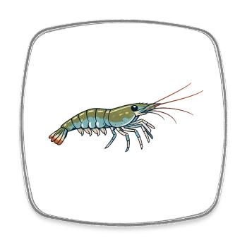Garnele Illustration – Design für Aquariumfans  - Viereckiger Kühlschrankmagnet - Weiß - Vorne